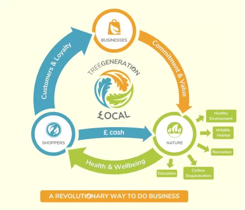 Graphic showing the cyclical relationship between individuals, businesses and not-for-profits in the Treegeneration model.