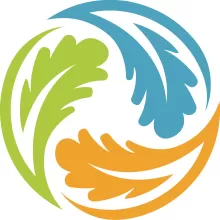 The Treegeneration Logo depicting a blue, orange, and a green leaf, chasing each other in a circle.
