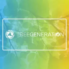 Treegeneration local over the top of a tricolour woody background